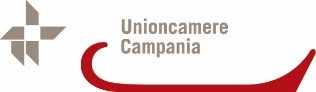 UnionCamere
